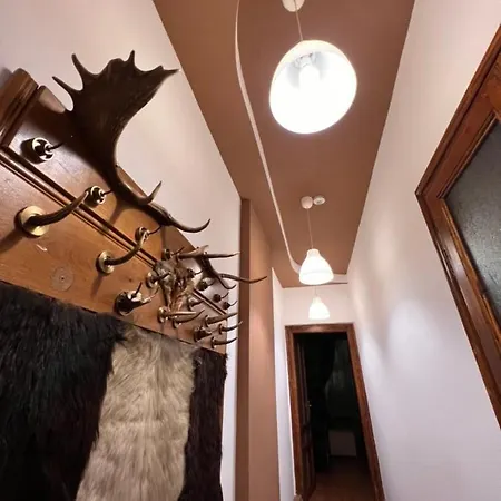 Artist Apartment Brașov