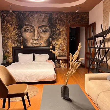 Apartment Artist Brasov