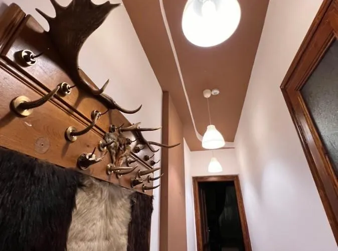 Artist Apartment Brasov